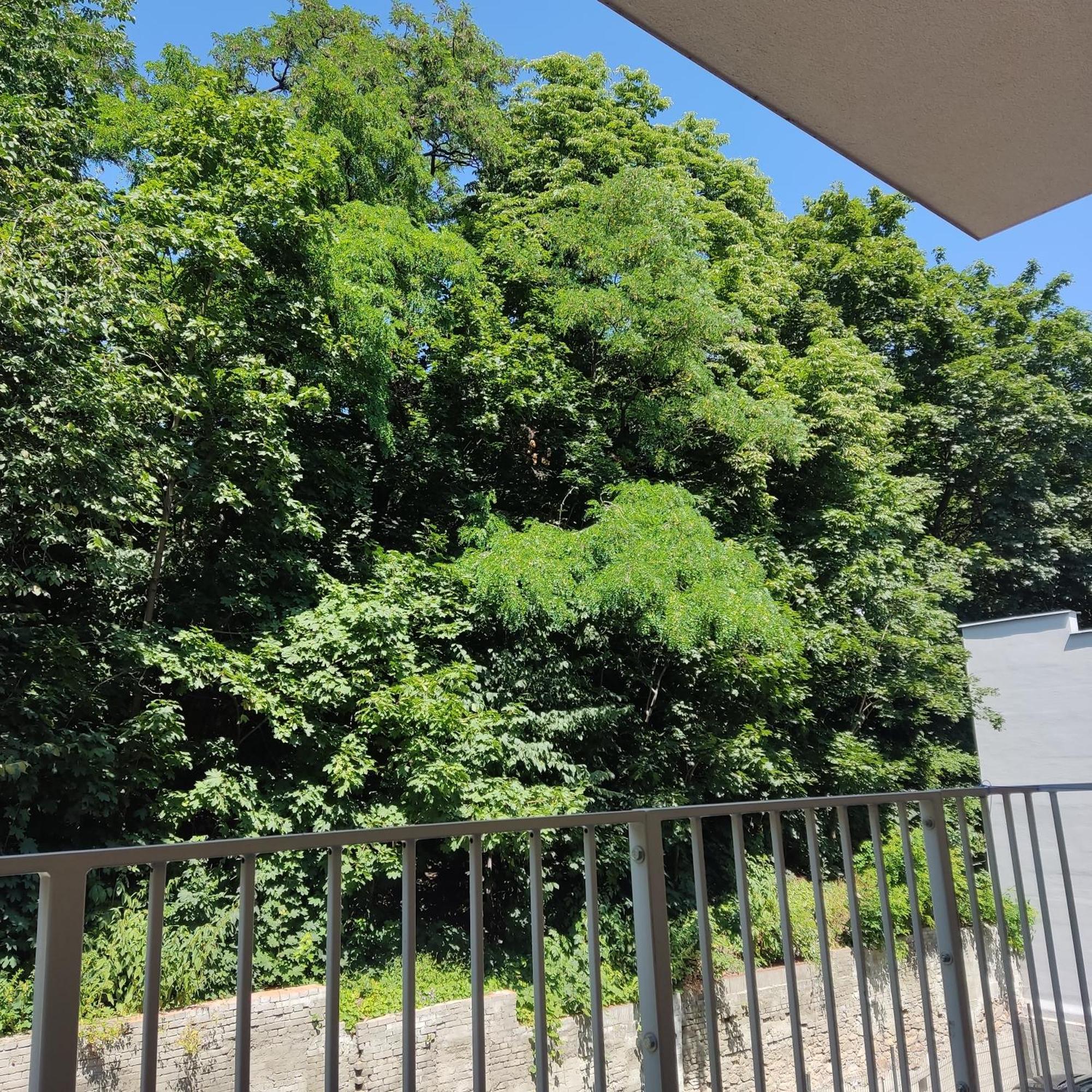 Apartament Swidnica *